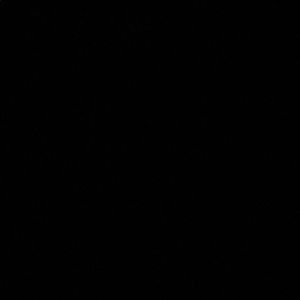 Meet your Posher, Sachin